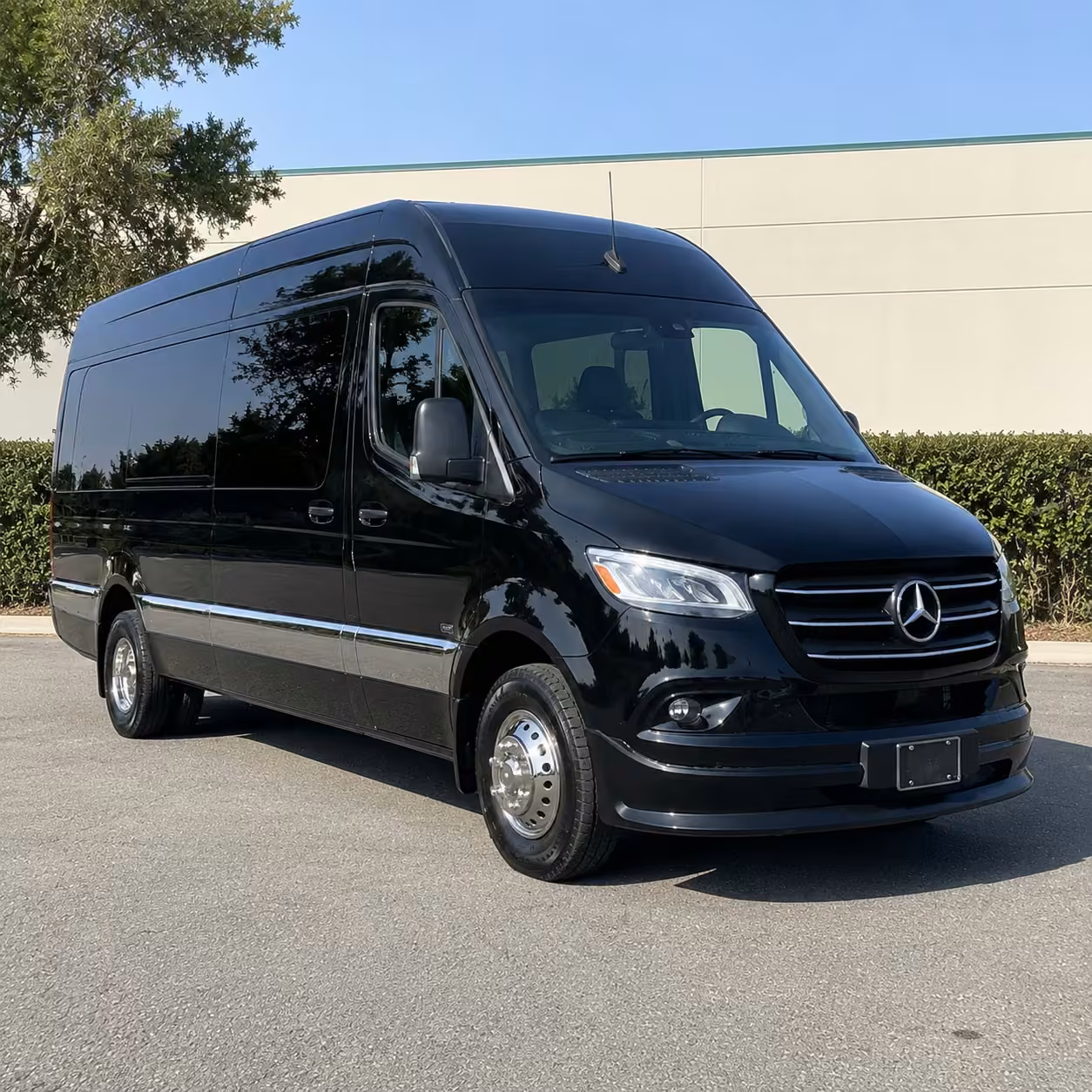 14 passenger sprinter limousine