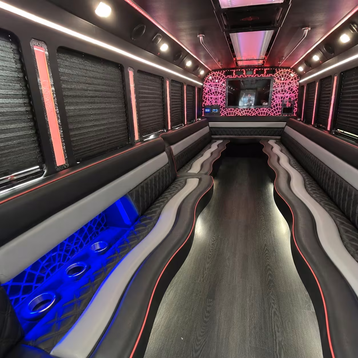 18 passenger party bus interior